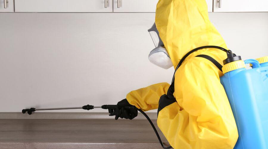 Professional Rat Control services in East Perth